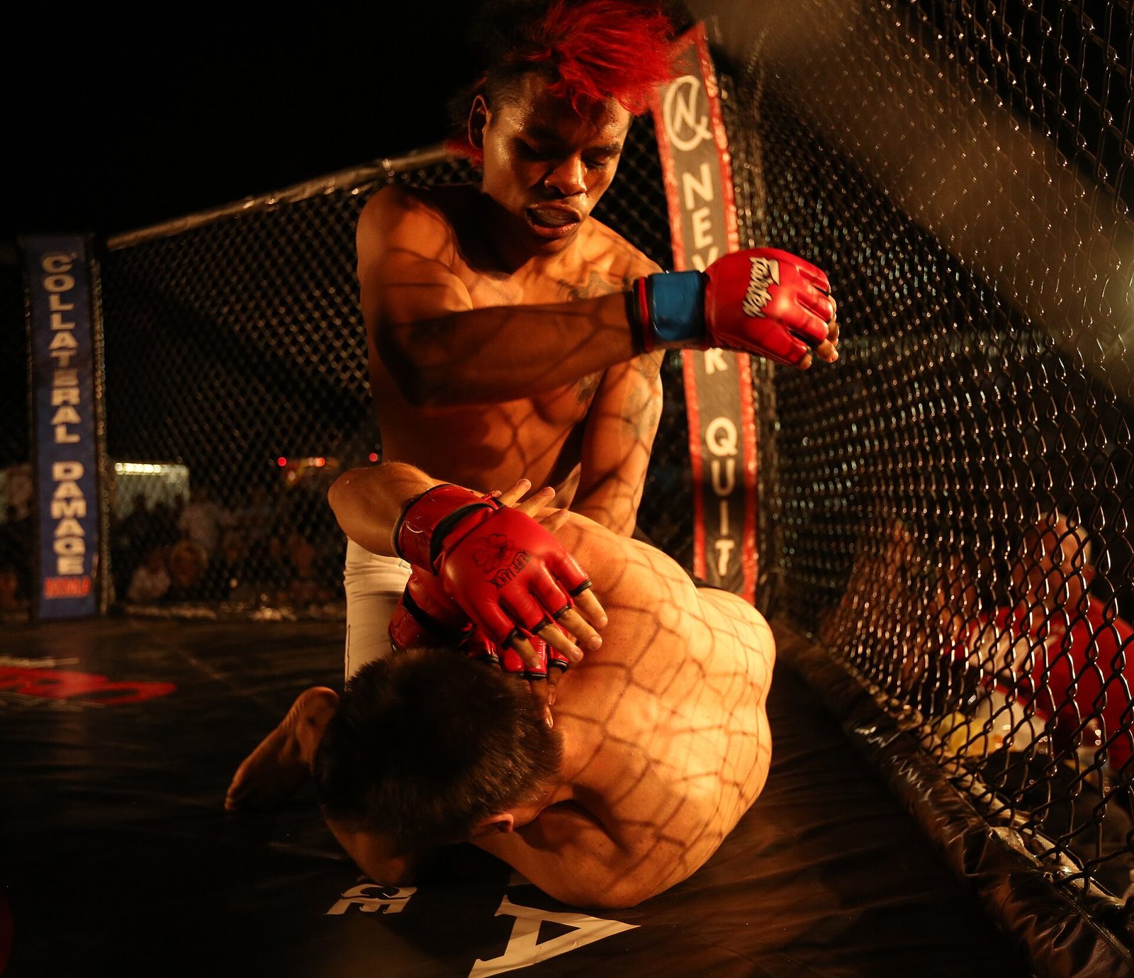 MMA & UFC — live events
