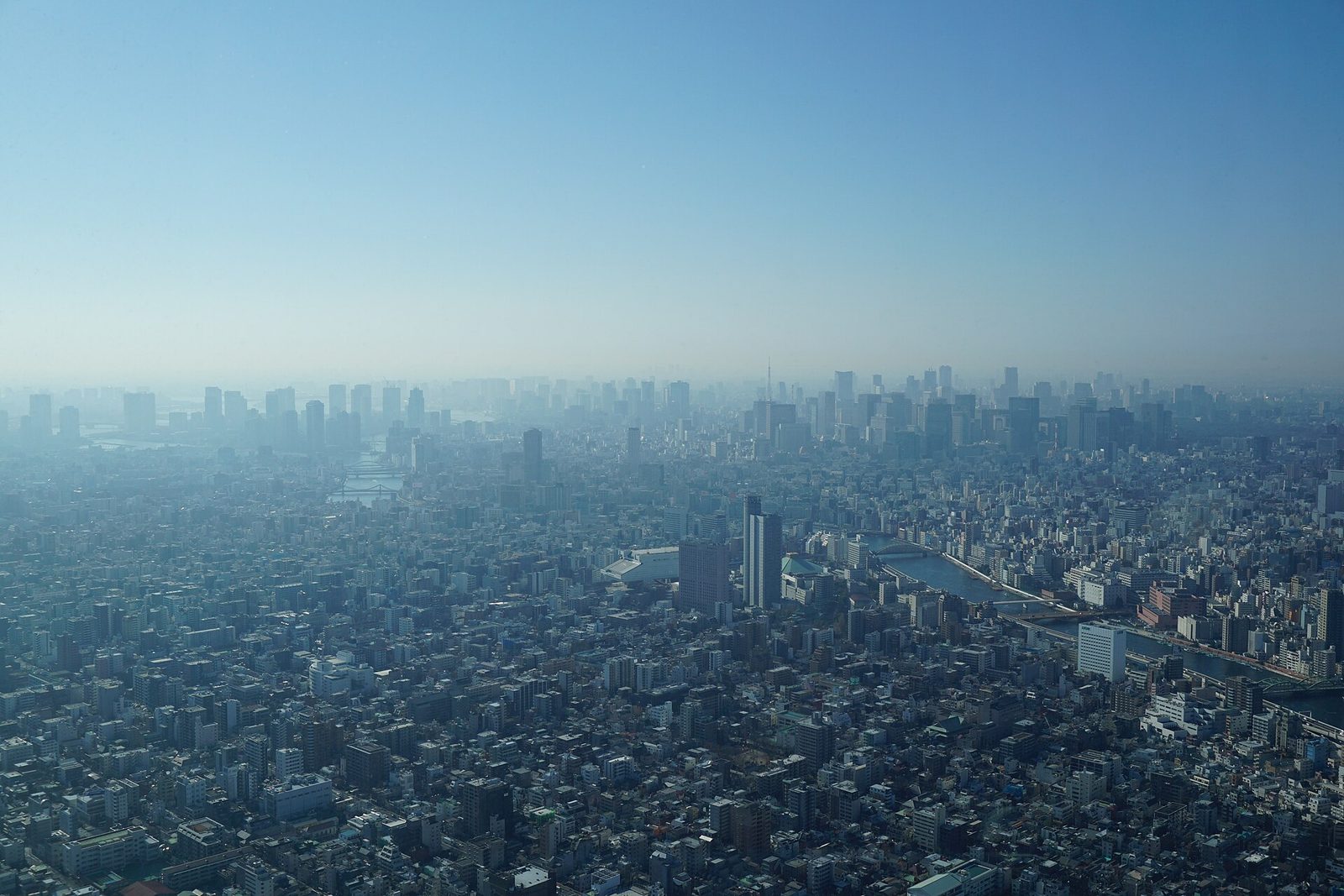 Tokyo skyline