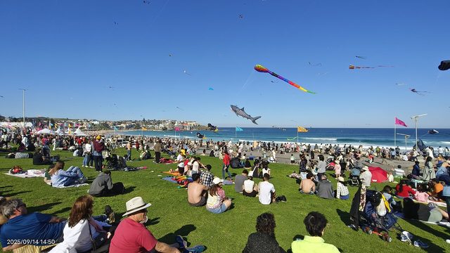 festival crowd aerial view